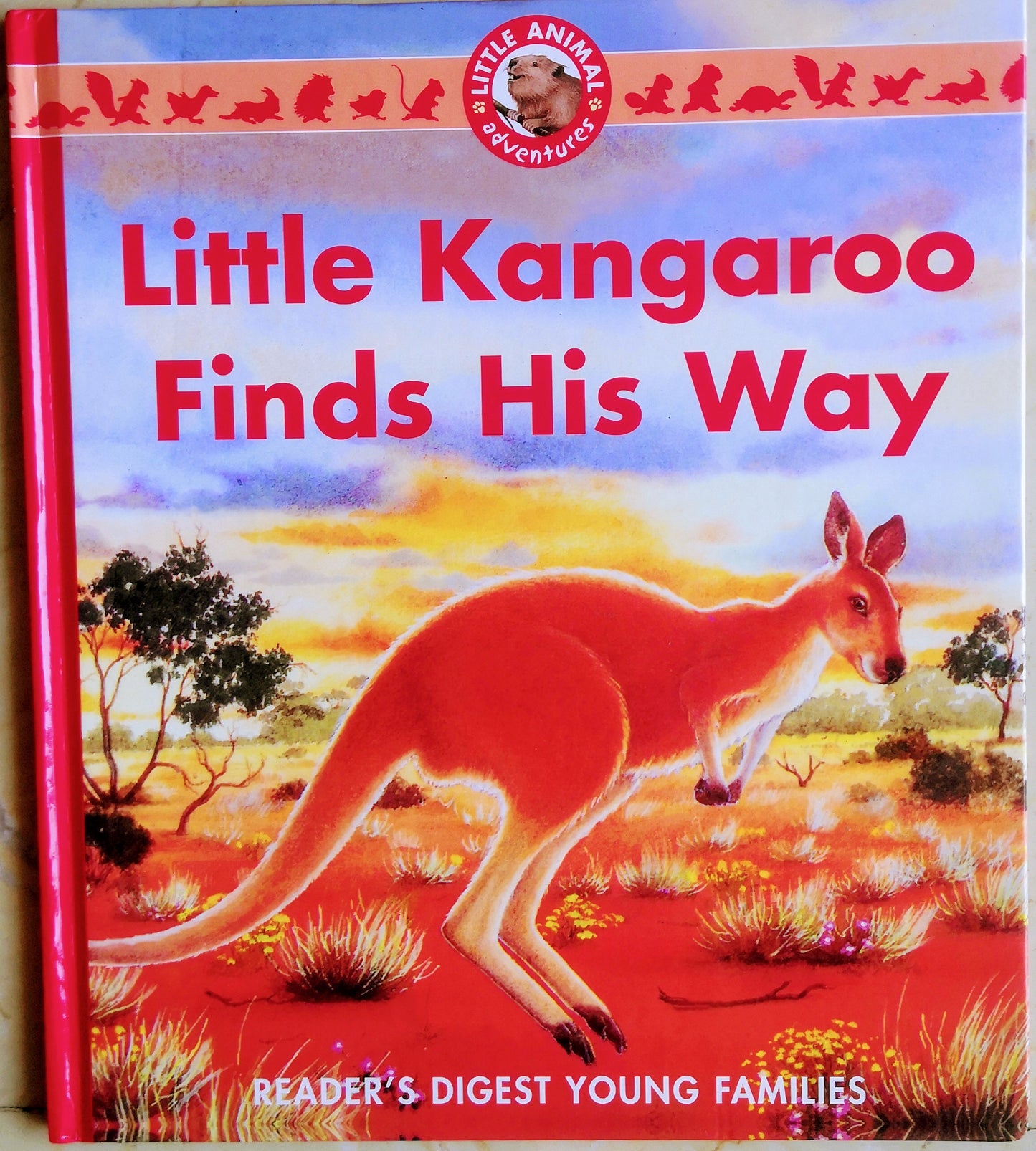 Little Kangaroo Finds his way