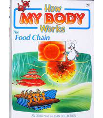 How my body works The Food Chain