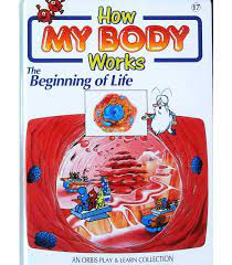 How my body works The beginning of life