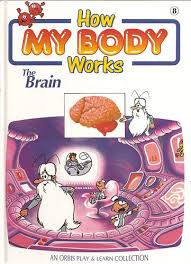 How my body works the brain