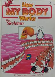 How your body works - the skeleton